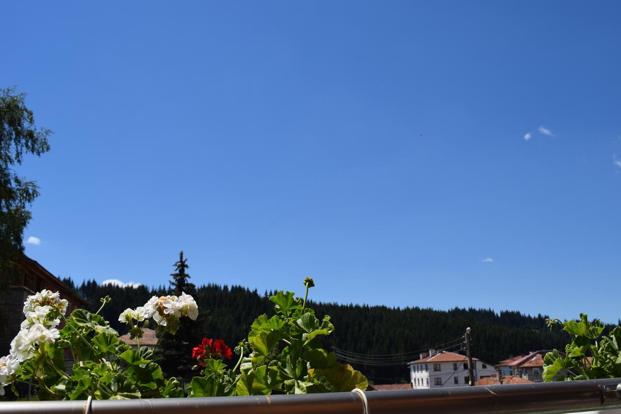 Complex Pele Hotel Zmeitsa ภายนอก รูปภาพ
